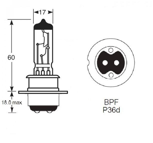 BPF P36D SHIELD HALOGEN British Prefocus P36D base Halogen bulb with